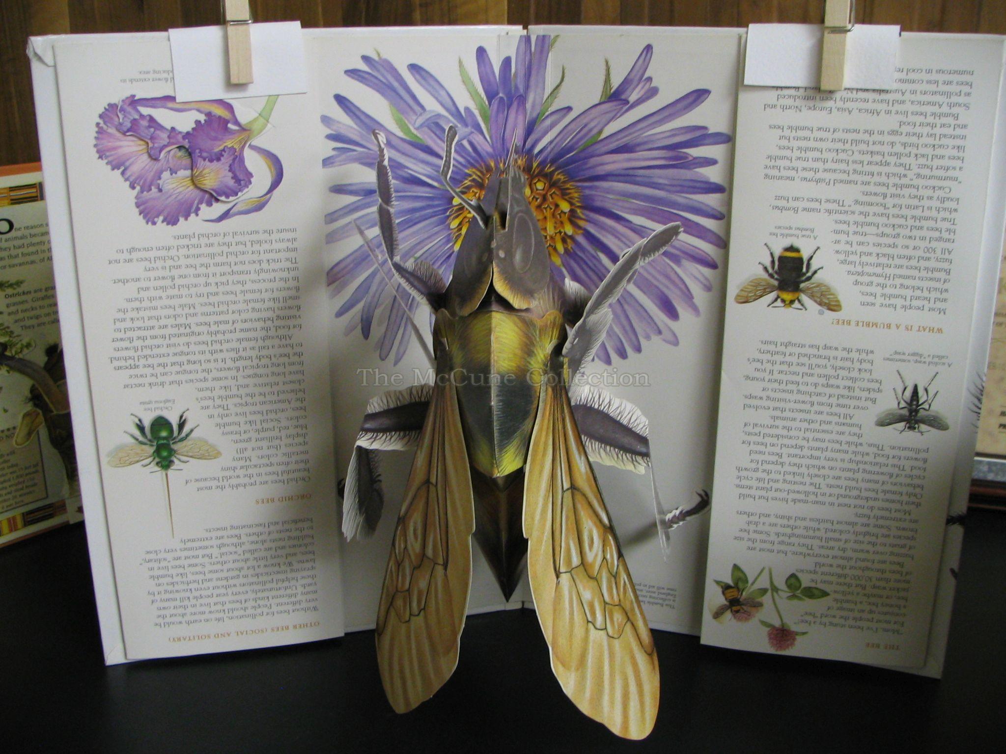 Popup Books/Paper Cutout Books • The McCune Collection